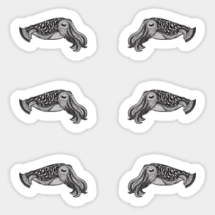 Cuttlefish Set - 6 Cuttlefish - cute ocean animal pattern or sticker set Sticker